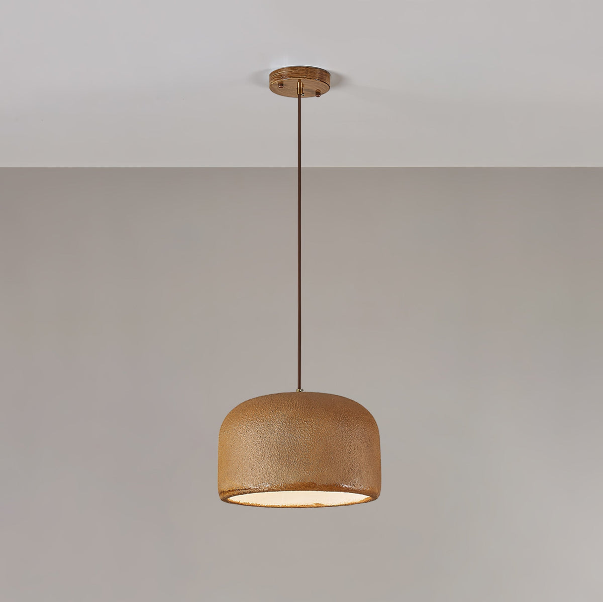 Organische Resin Hanglamp