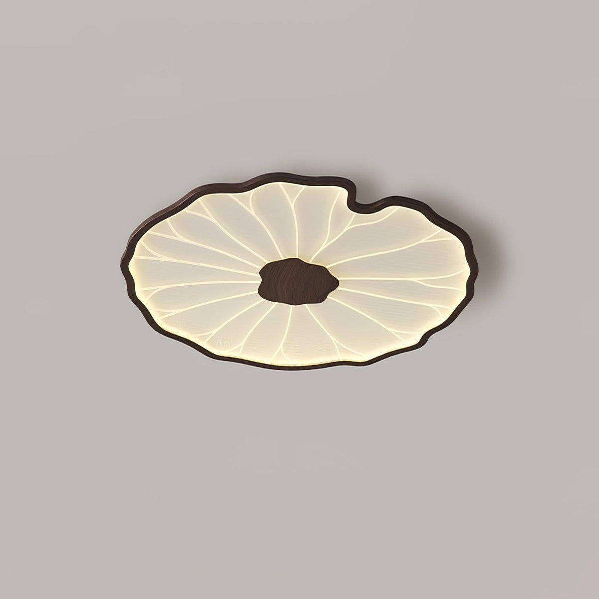 Moderne LED Plafondlamp Houtlook
