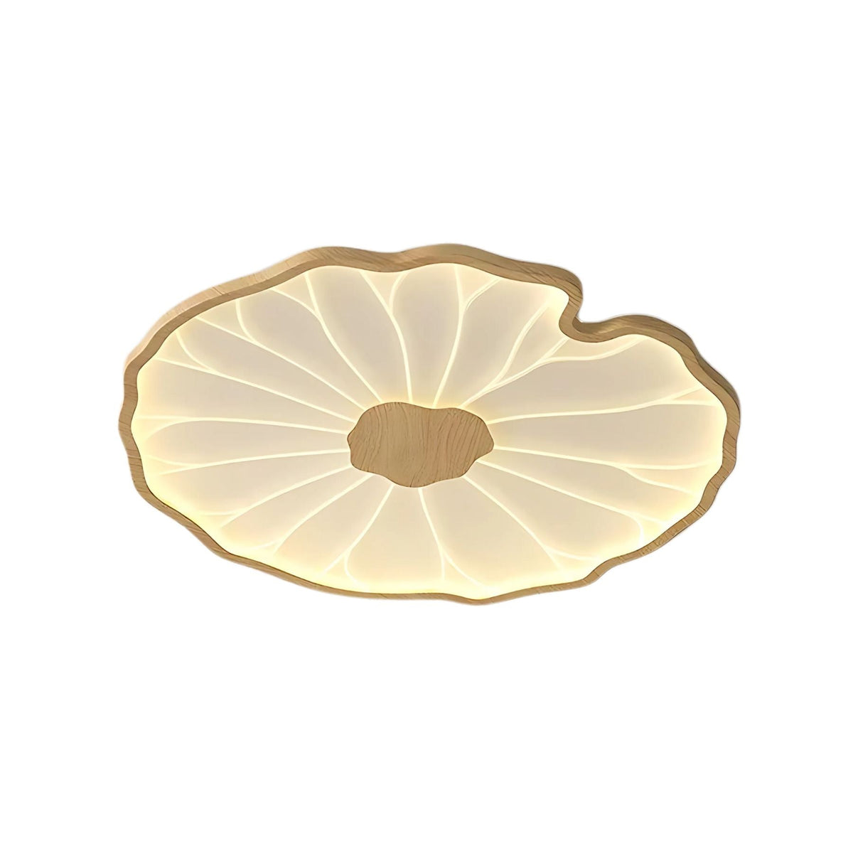 Moderne LED Plafondlamp Houtlook