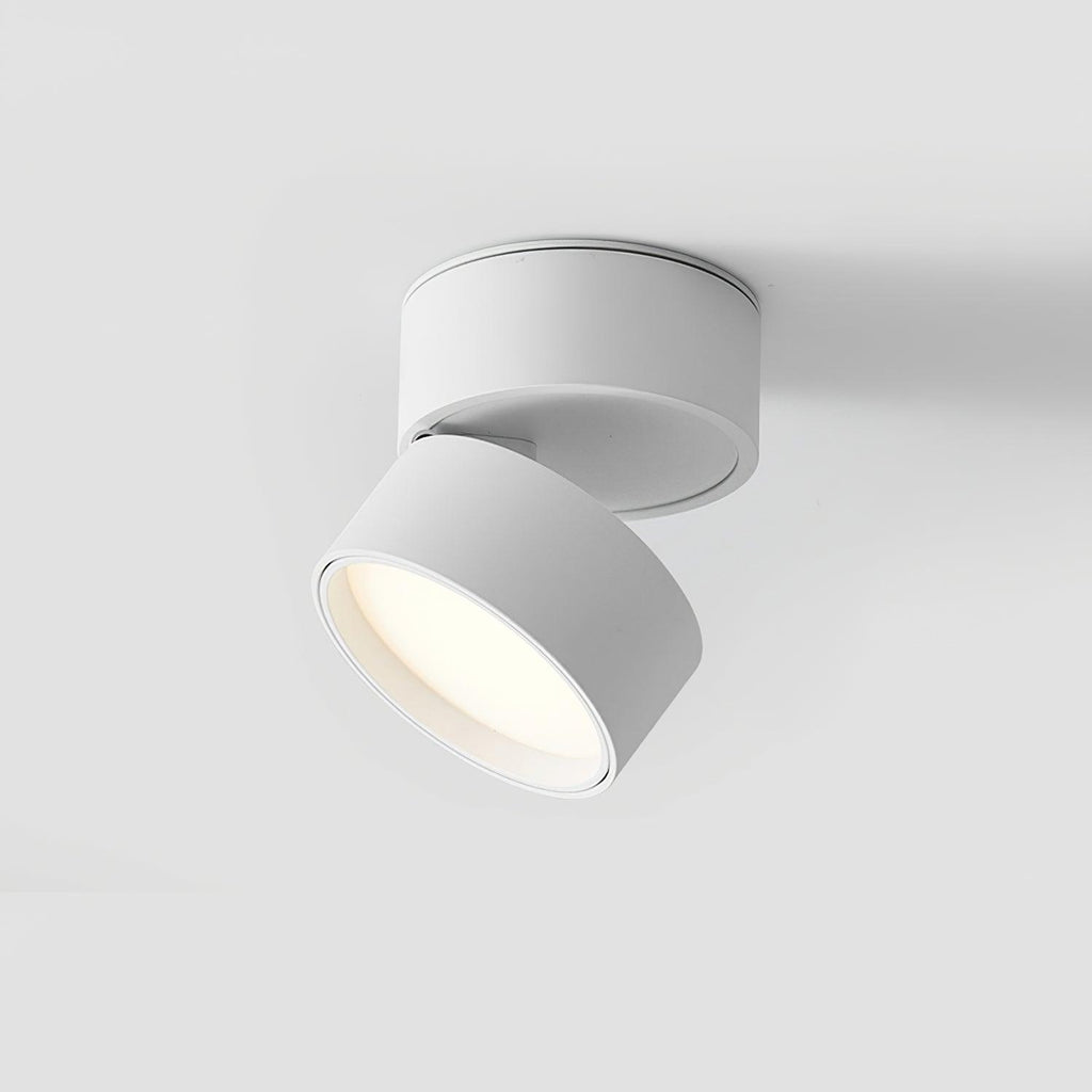 Verstelbare LED Plafondspot