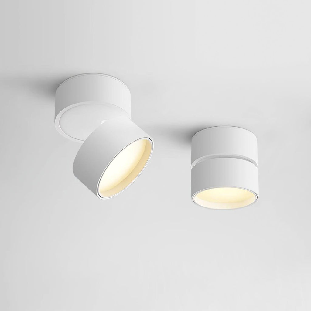 Verstelbare LED Plafondspot