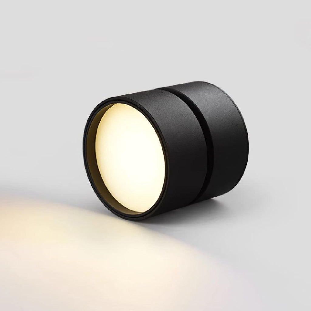 Verstelbare LED Plafondspot