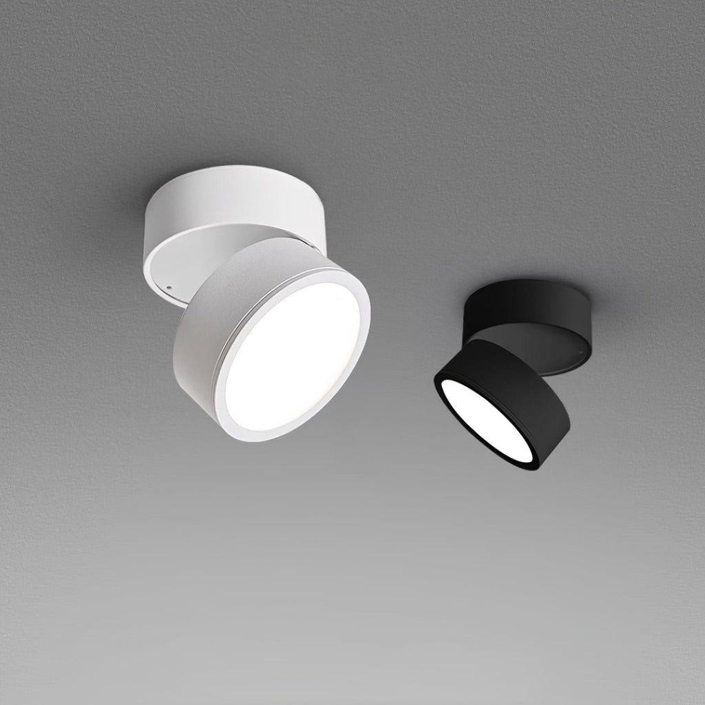 Verstelbare LED Plafondspot