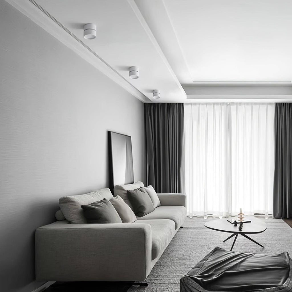 Verstelbare LED Plafondspot