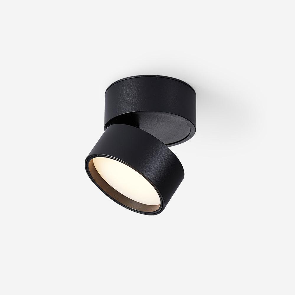 Verstelbare LED Plafondspot