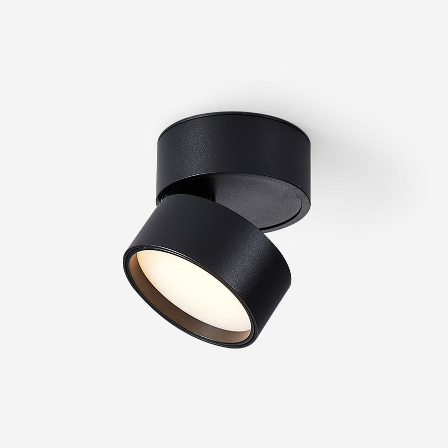 Verstelbare LED Plafondspot