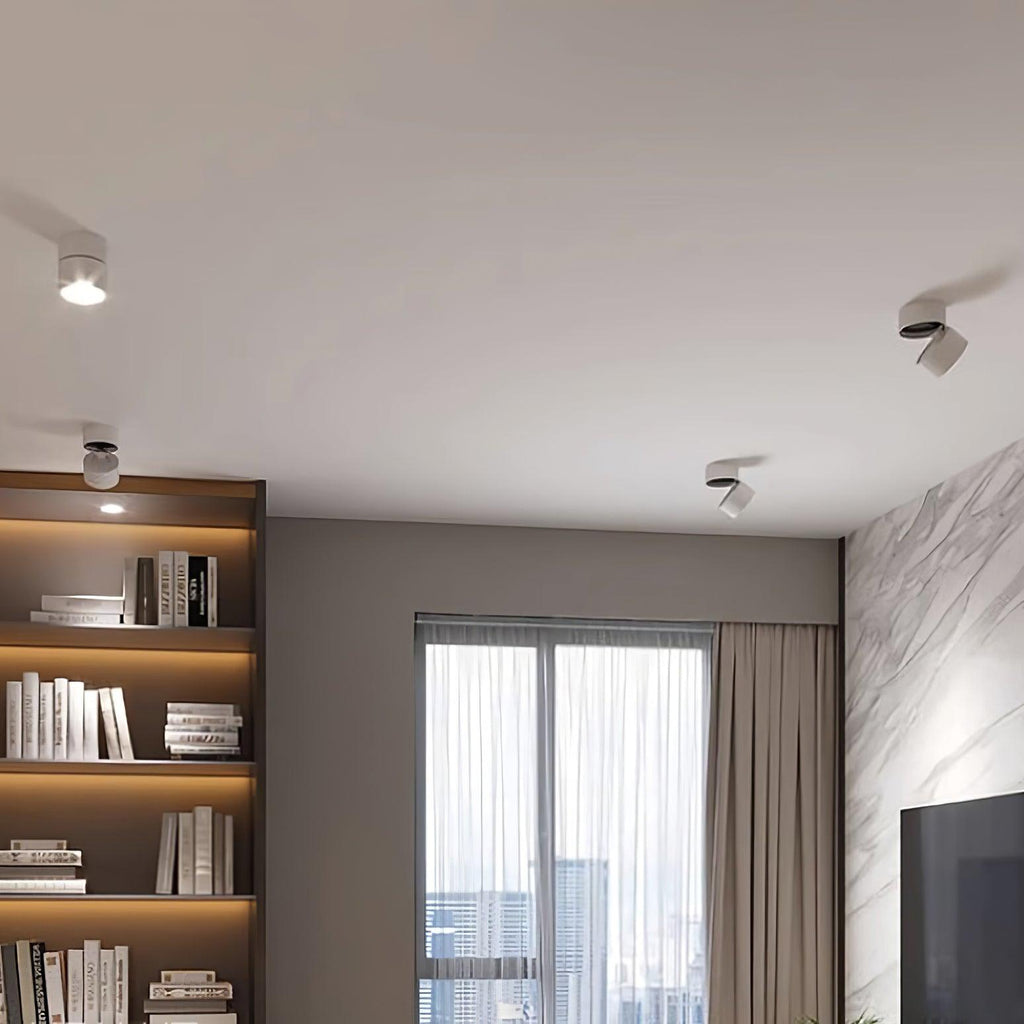 Verstelbare LED Plafondspot