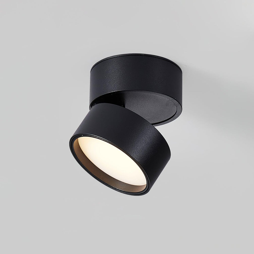 Verstelbare LED Plafondspot