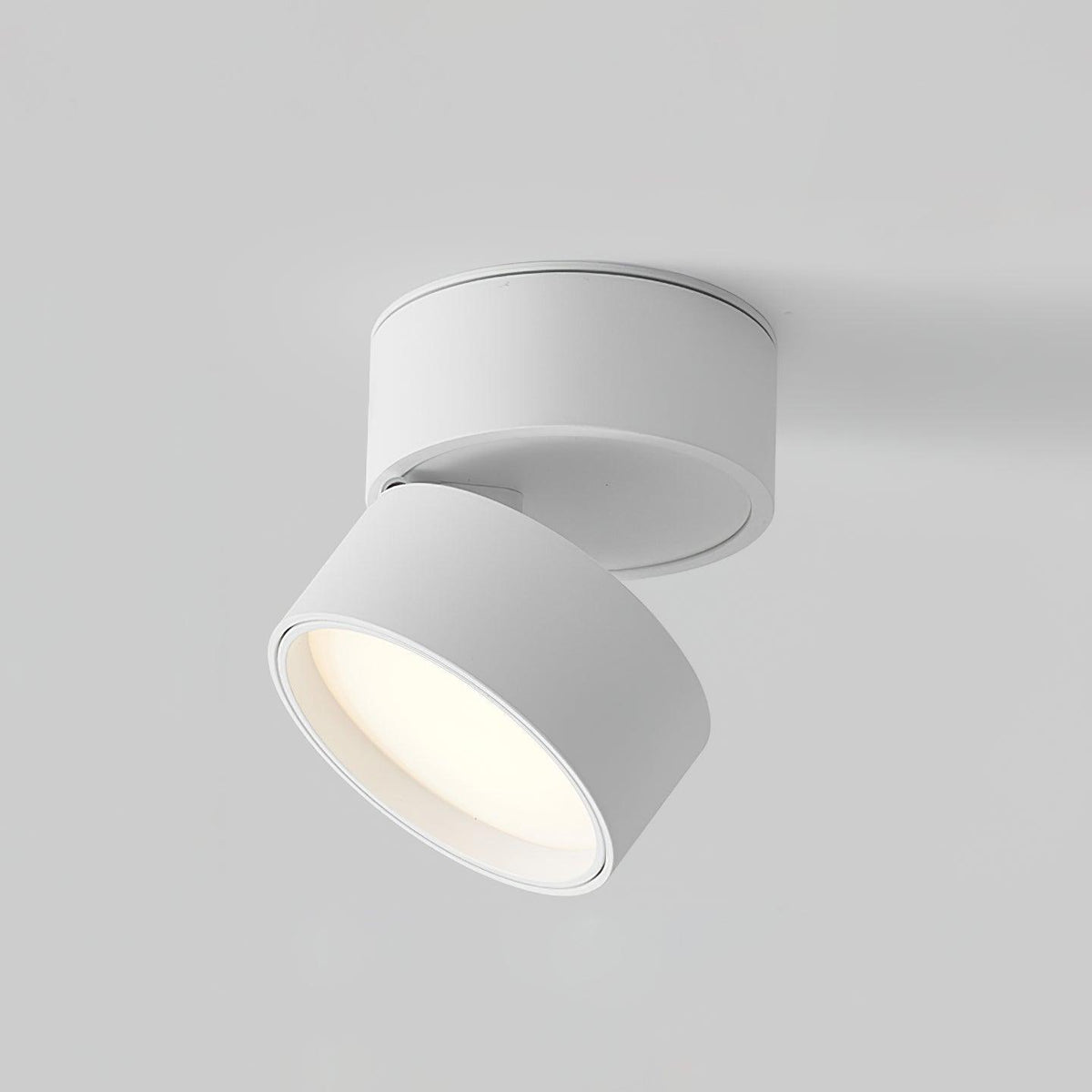 Verstelbare LED Plafondspot