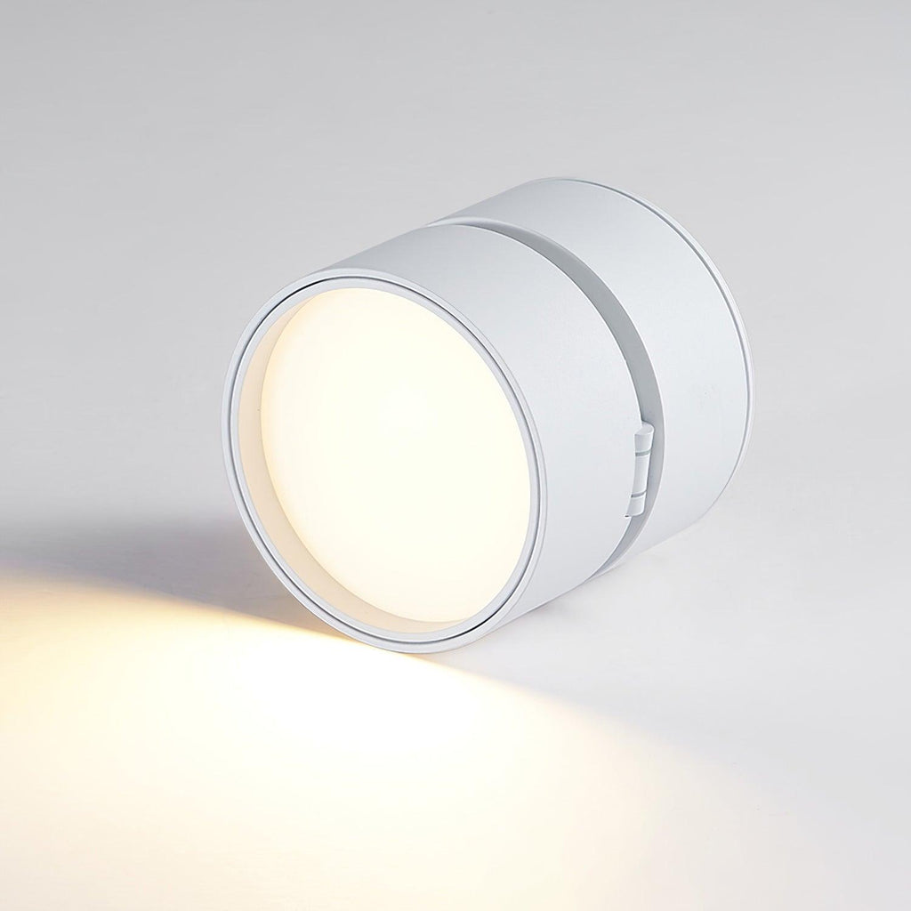 Verstelbare LED Plafondspot