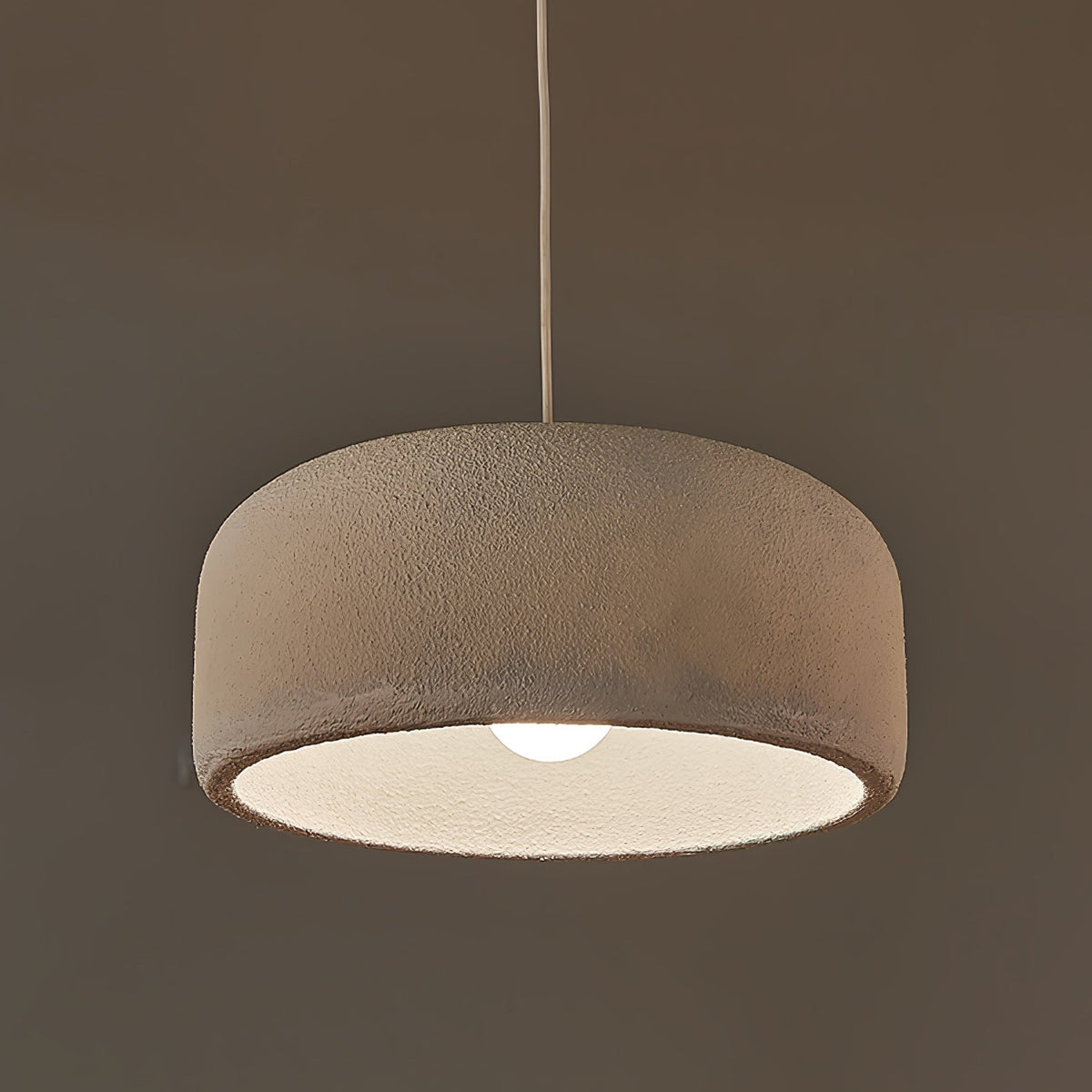Organische Resin Hanglamp