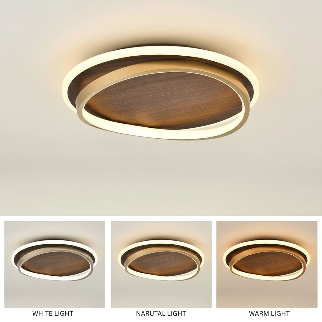 Moderne Scandinavische LED Plafondlamp