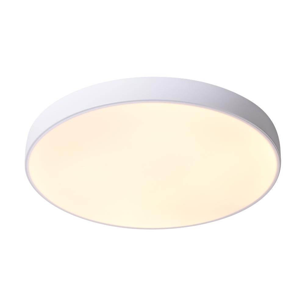 Erda moderne LED plafondlamp